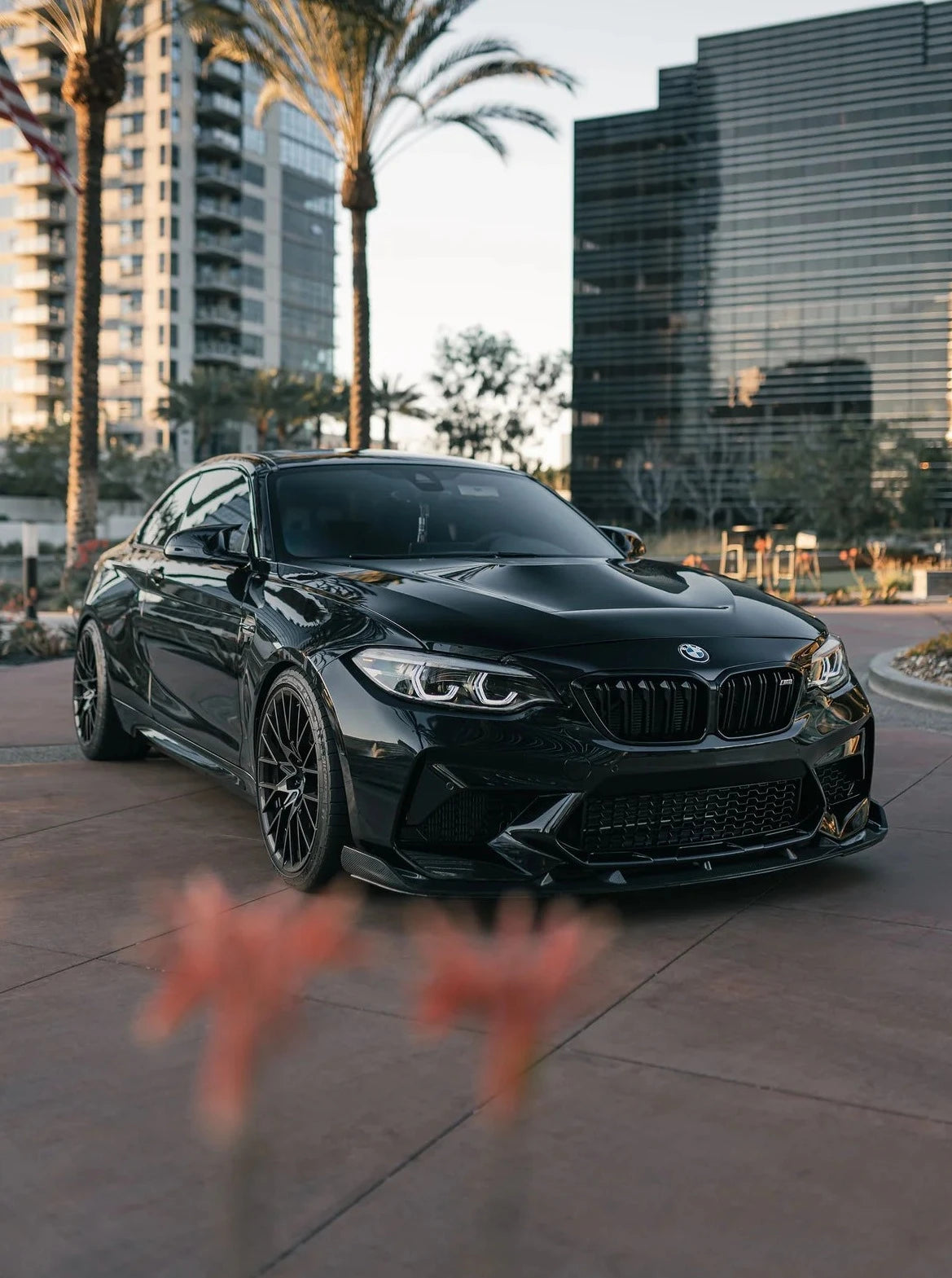 3D Style Carbon Fiber Front Bumper Lip  - BMW F87 M2C